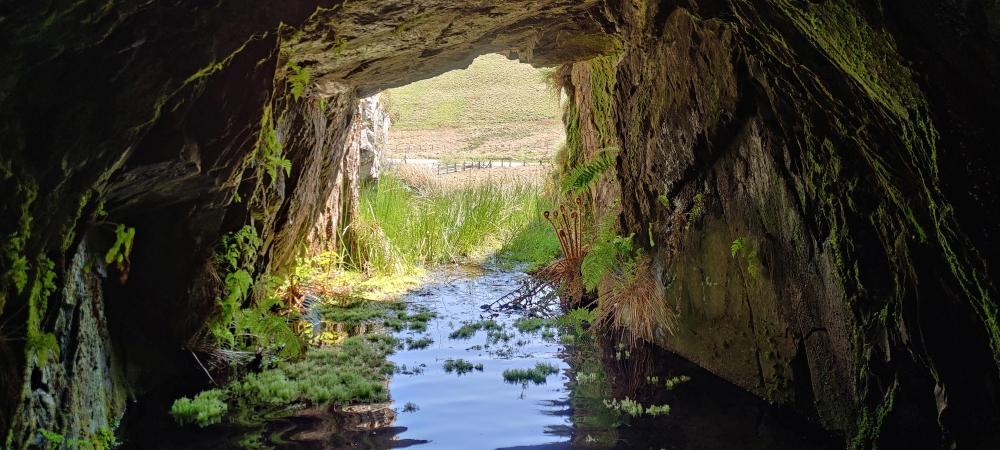 Adit - looking back, submitted by ilt on 03-05-2025.
© Iain Taylor Adit - looking back